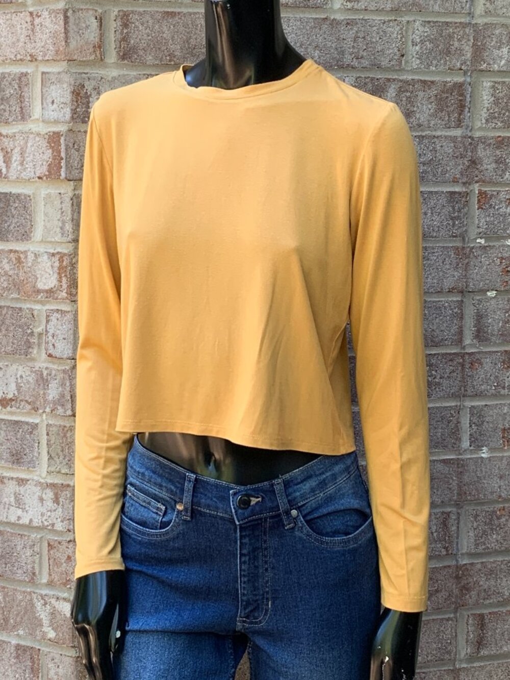 Gianni Bini Crewneck Long Sleeve Cropped Top Sz S